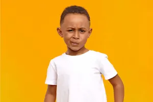 What do you call penguins and polar bears? image