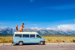 What do you get when dinosaurs crash their cars? image