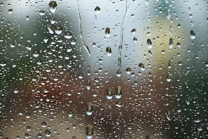 What do you say when it's raining chickens and ducks in the spring? image