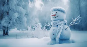 What does Frosty's wife put on her face at night? image