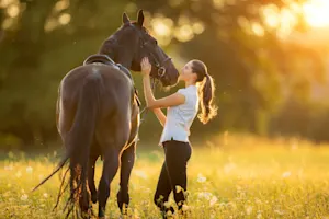 What does the horse say when a human greets him by saying hey? image