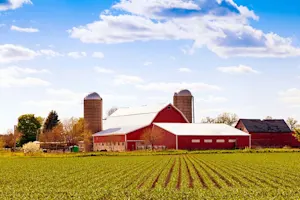 What farm animal is best at karate? image