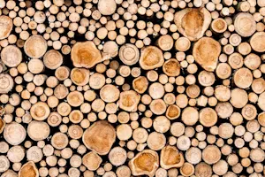 What happens to you when you lift a lot of logs? image