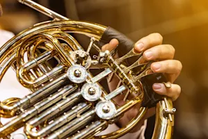 What horn never makes a sound? image