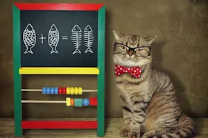 What is a cat's favorite math problem? image