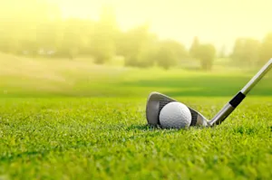 What is a golfer's worst nightmare? image