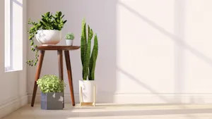 What is a plant's favorite college course? image