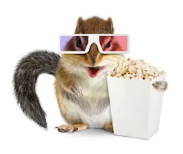 What is a squirrel's favorite way to watch TV? image