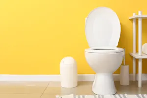 What is a toilet's favorite hand in poker? image