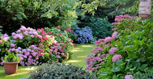 What is the fiercest flower in the garden? image