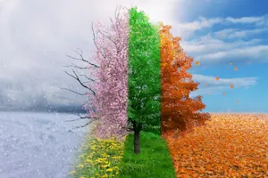 What is the most adorable season? image