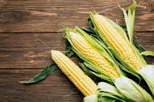 What job did the corn on the cob get? image