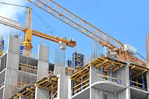 What kind of bird works at a construction site? image