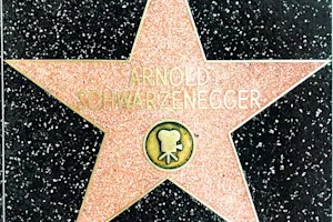 What kind of car does Arnold Schwarzenegger drive? image