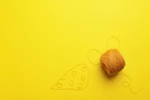 What kind of cheese can you sew with? image