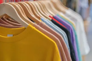 What kind of clothes does a house wear? image