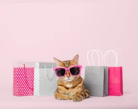 What money do cats use to go shopping? image