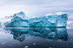 What outfit is appropriate for a dinner in the Arctic? image