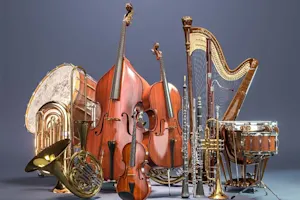 What part of the orchestra do rhinos play in? image