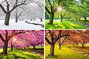 What season begins with a thud? image