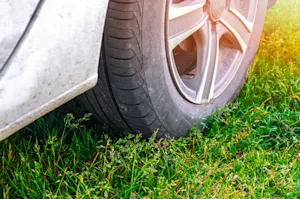 What should you do if someone parks their car on your lawn? image