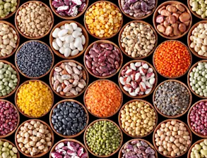 What type of bean doesn't have protein? image