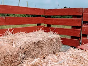 What type of vehicle should you use for a fall hayride? image
