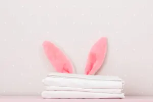 What was the bunny's job at the hotel? image