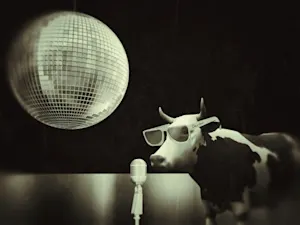 What's a cow's favorite music note? image