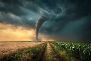 What's a tornado's favorite game? image