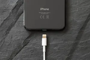 What's another name for your iPhone charger? image