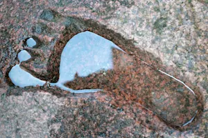 What's Bigfoot's favorite musical part to sing?