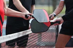 What's the difference between pickleball and tennis? image