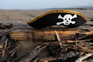 Where did Captain Hook purchase his hook? image