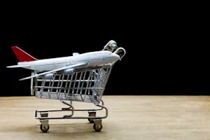 Where do airplanes go shopping? image