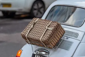 Where do automobiles have picnics? image