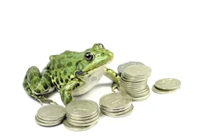 Where do frogs keep their money? image
