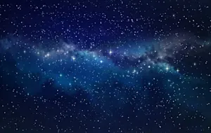 Where do stars go to college? image