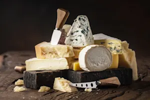 Where does cheese invest its money? image