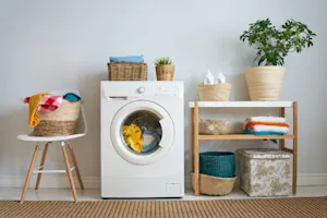 Where does laundry go to college? image