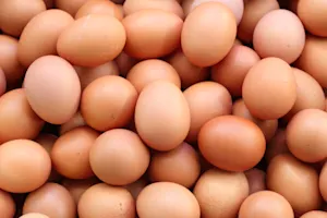 Where's the best place to learn about eggs? image