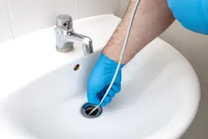 Which actor is a pro at unclogging a drain? image