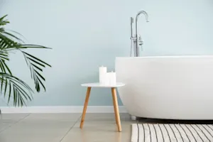 Which birds steal soap from the bath? image