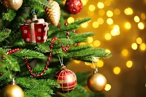 Which celebrity always had the most beautiful Christmas trees? image