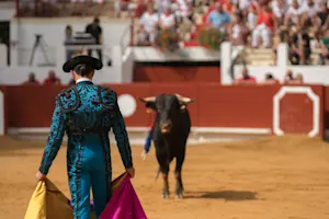 Which dog dreams of being a matador? image