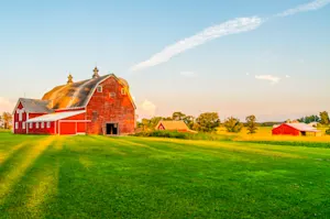 Which farm animals are famous painters? image