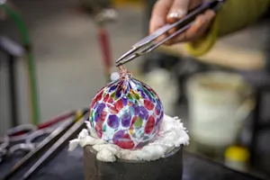 Which fish is the best at making glass art? image