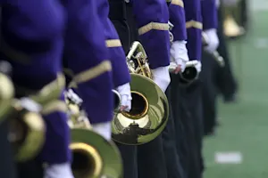 Which insect always signs up for marching band? image