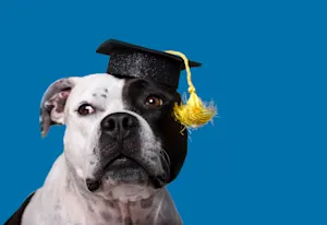 Which yearbook superlative did the dog win? image