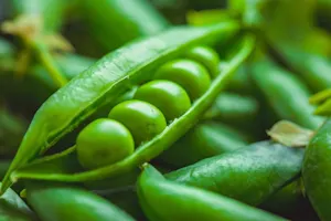 Who do green peas see when they aren't feeling well? image